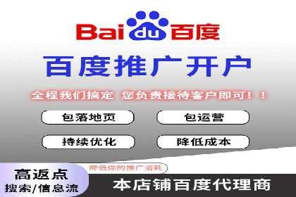 揭秘百度竞价代理：实战案例分析